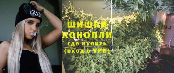 бошки Богородицк