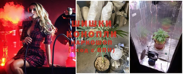 бошки Богородицк