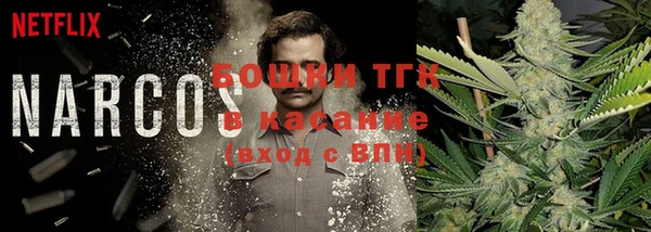 бошки Богородицк