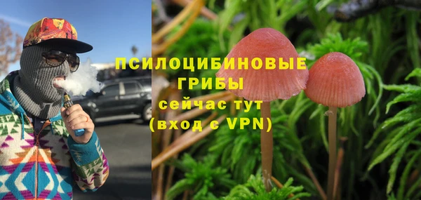 бошки Богородицк