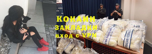 бошки Богородицк