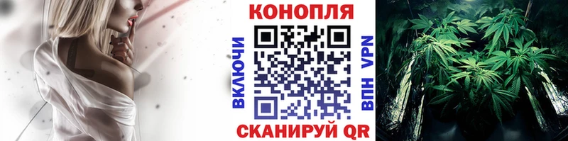 где купить наркотик Егорьевск Каннабис семена